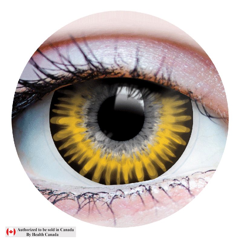 P22660<br> Primal Temptress Chestnut<br> Colored Lenses